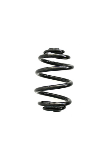Coil Spring 06231 - front view