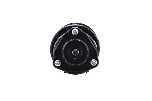 Suspension Strut and Coil Spring Assembly 1333491L - right view