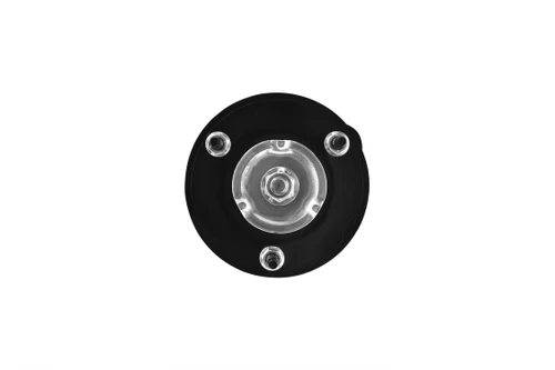 Suspension Strut and Coil Spring Assembly 1336343 - right view