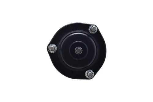 Suspension Strut and Coil Spring Assembly 1345477 - right view