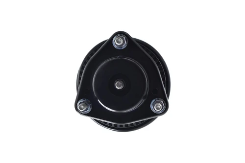 Suspension Strut and Coil Spring Assembly 2333406R - right view