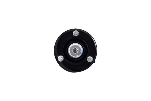 Suspension Strut and Coil Spring Assembly 4345497 - right view