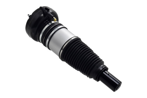 Air Suspension Strut Assembly 93021 - top view