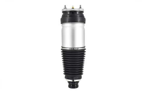 Air Suspension Strut Assembly 93022 - front view