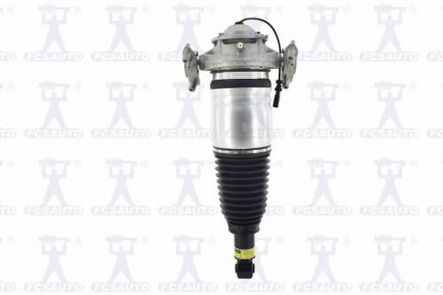 Air Suspension Strut Assembly 99074 - front view