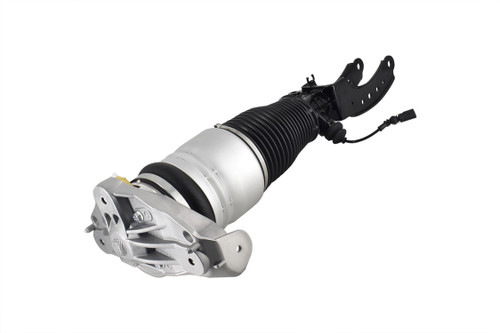 Air Suspension Strut Assembly 99012 - left view