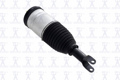 Air Suspension Strut Assembly 93001 - top view