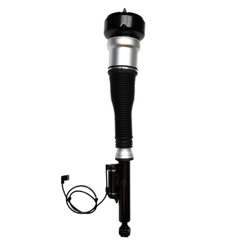 Air Suspension Strut Assembly 99046 - top view