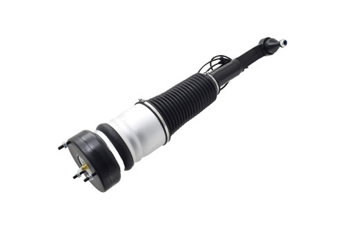 Air Suspension Strut Assembly 99048 - bottom view