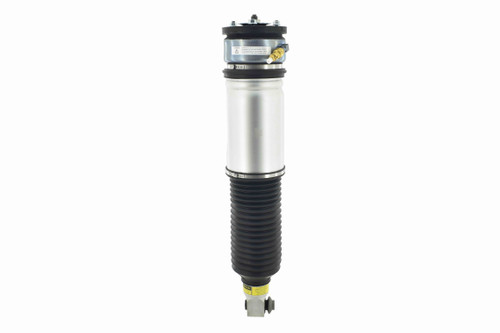 Air Suspension Strut Assembly 99020 - top view