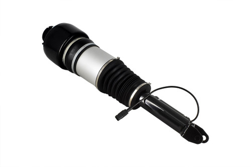 Air Suspension Strut Assembly 99051 - top view