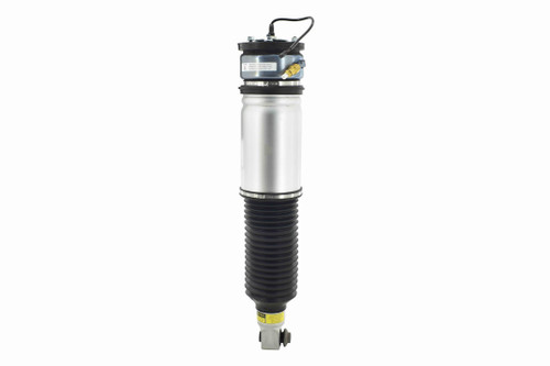 Air Suspension Strut Assembly 99022 - top view