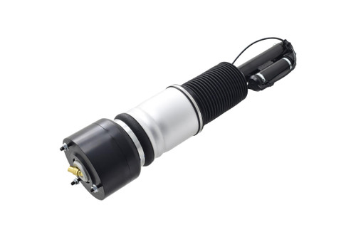Air Suspension Strut Assembly 99067 - bottom view