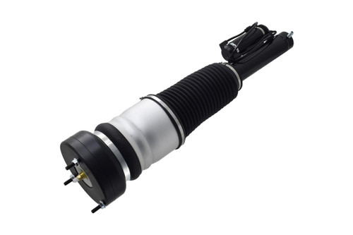 Air Suspension Strut Assembly 99069 - bottom view