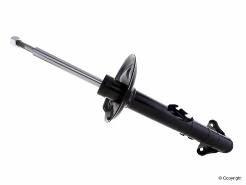 Suspension Strut Assembly 22-172525