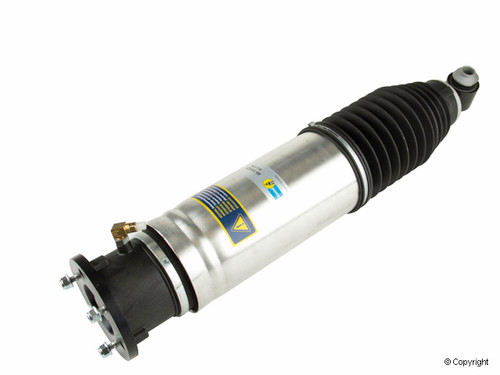 Air Suspension Strut 44-191825