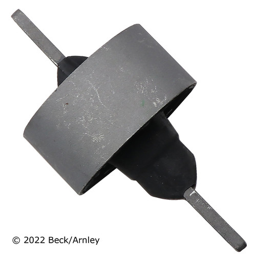 Control Arm Bushing 101-5307