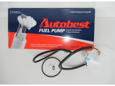 F1296A Fuel Pump Module Assembly F1296A - angled view