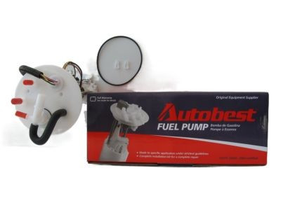 F1206A Fuel Pump Module Assembly F1206A - angled view