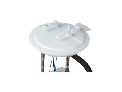 F1579A Fuel Pump Module Assembly F1579A - angled view
