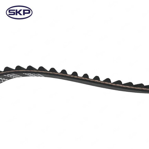 Engine Timing Belt SKT179 - back view