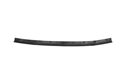 Hood Molding CH1235104 - front view