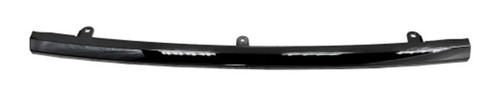 Grille Molding HO1210184 - front view