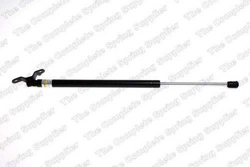 Rear Lift Support 8156816 - Direct Fit - front view