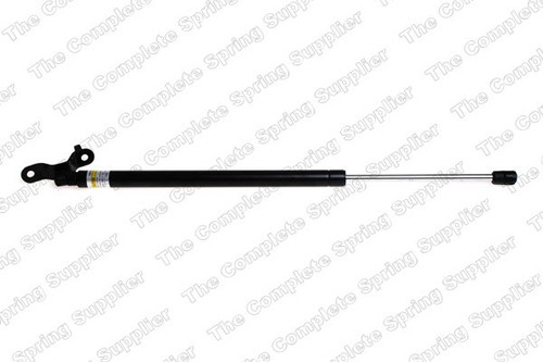 Rear Lift Support 8156815 - Direct Fit - front view
