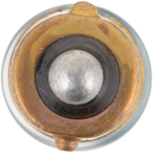 Standard Miniature Bulb 53 (2 Pack) 53B2 - bottom view