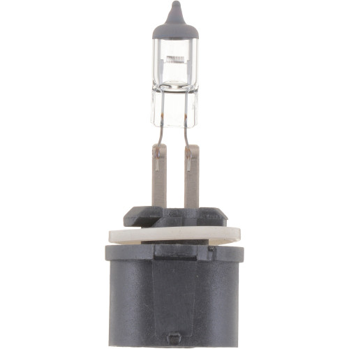 Standard Fog Light Bulb 893 893B1 - front view