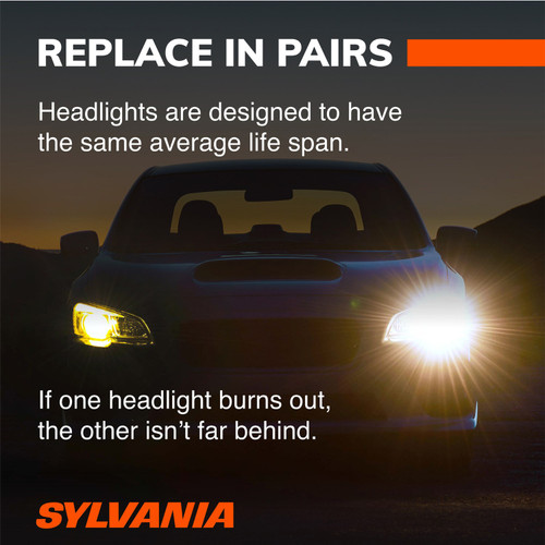 Basic Fog Bulb 5202 5202.BP - lifestyle image