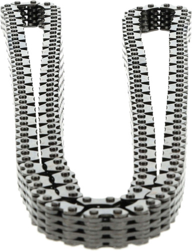 Engine Timing Chain C766 - back view