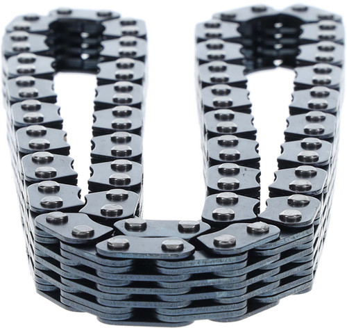Engine Timing Chain C981 - back view