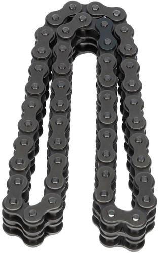 Engine Timing Chain C181 - top view