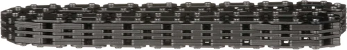 Engine Timing Chain C393 - right view