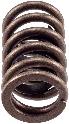 High Performance Valve Spring 466354 - top view
