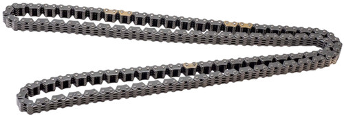 Engine Timing Chain 711F - angled view