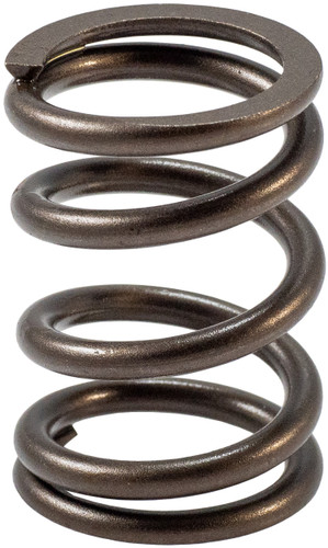 High Performance Valve Spring 466694 - front view