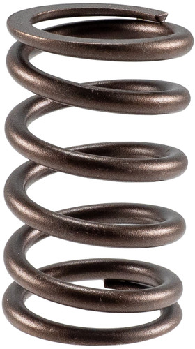 High Performance Valve Spring 466114 - front view