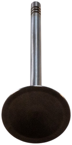 Engine Intake Valve V1920 - bottom view