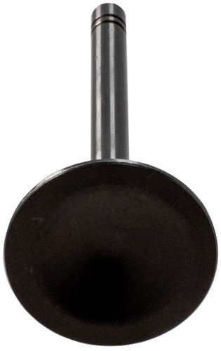 Engine Intake Valve V1180 - bottom view