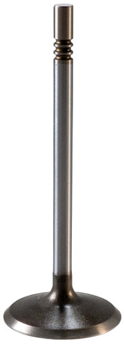 Engine Intake Valve V1699 - front view