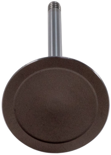 Engine Intake Valve V5821 - bottom view