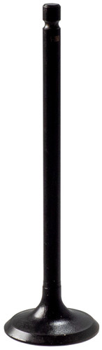 Engine Intake Valve V5534 - front view