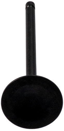 Engine Intake Valve V5534 - bottom view