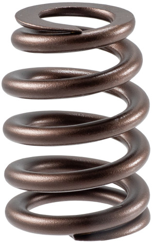Engine Valve Spring VS-2224 - front view