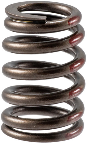 Engine Valve Spring VS-2225 - front view