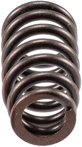 Engine Valve Spring VS-2486 - top view