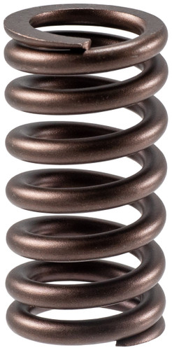 Engine Valve Spring VS-2256 - front view